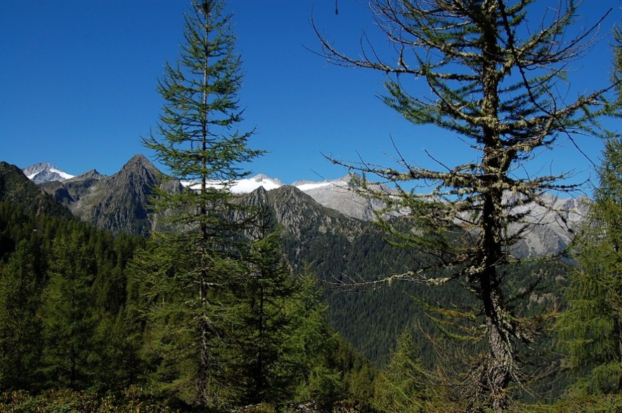 Laghi di San Giuliano e Garzon (Adamello meridionale)